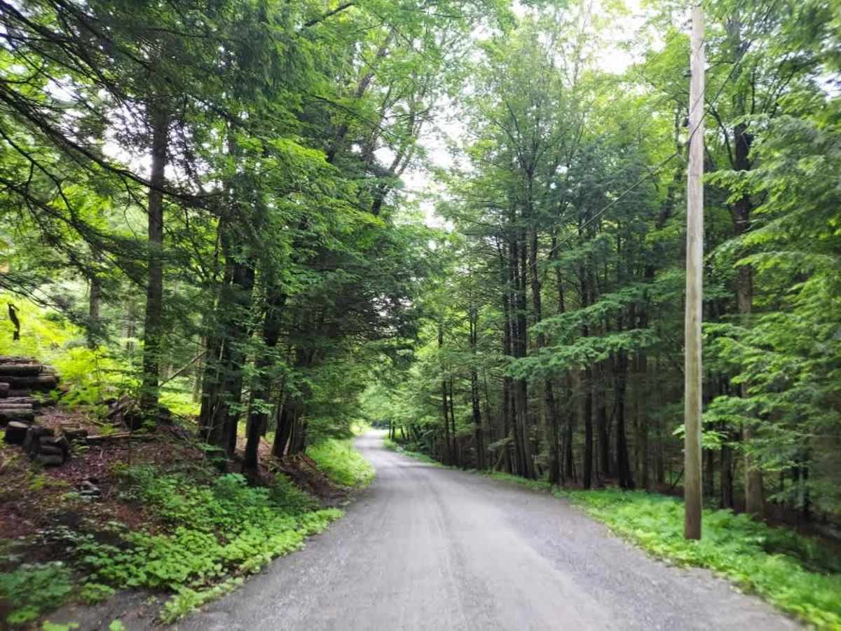 Moore Road trail photo