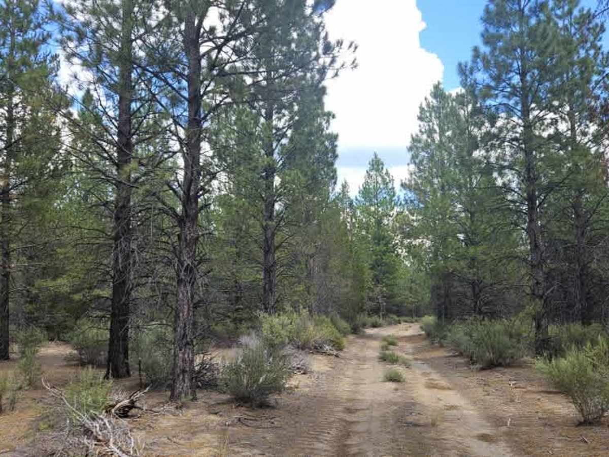 FS 4983480 trail photo