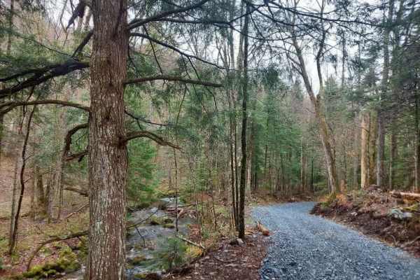 Dunville Hollow Road