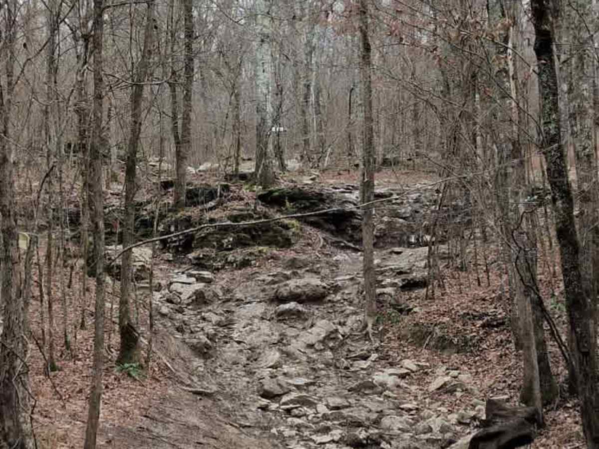 #99 Stripper Pole  trail photo