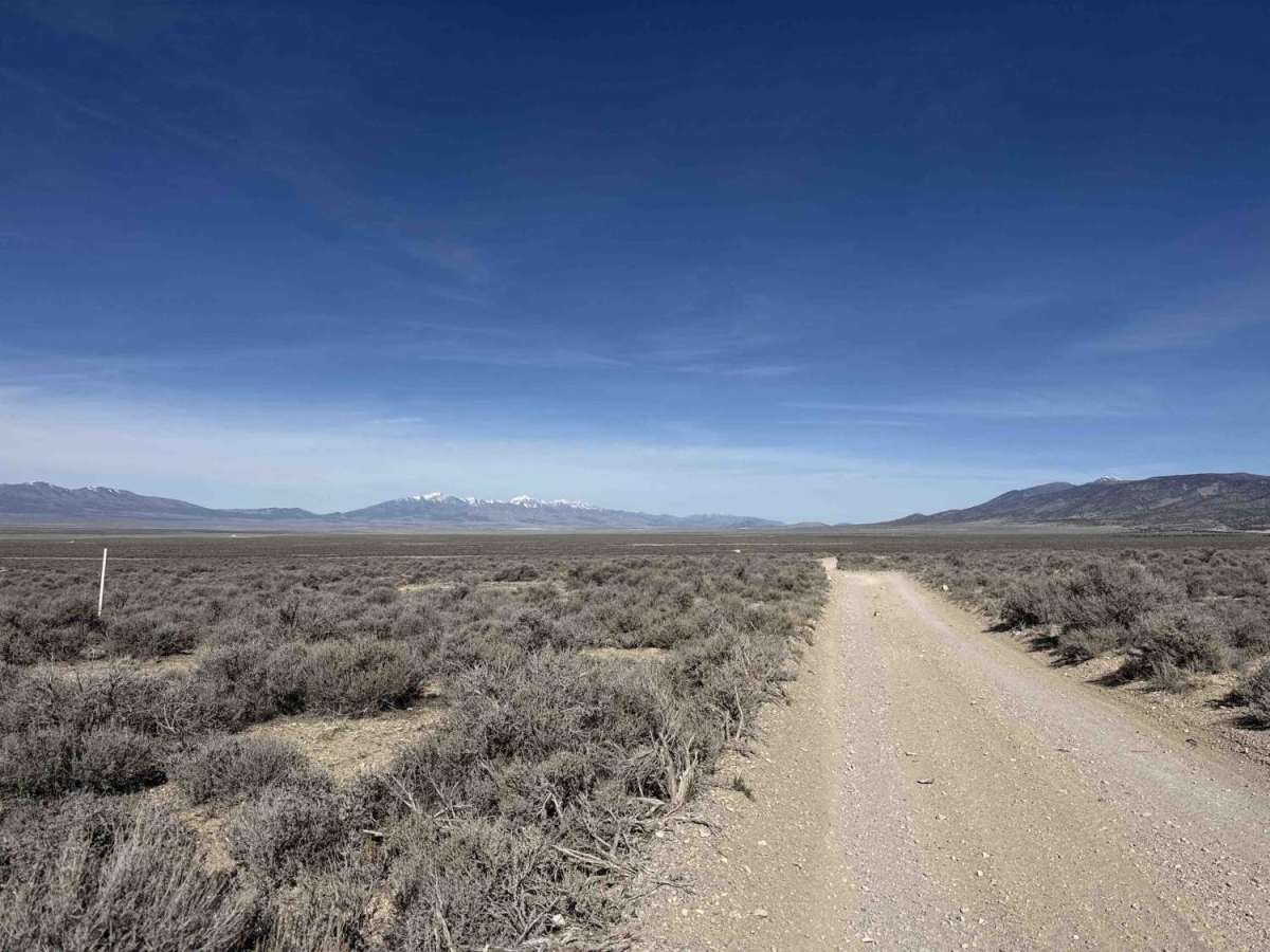 The Divide photo 2