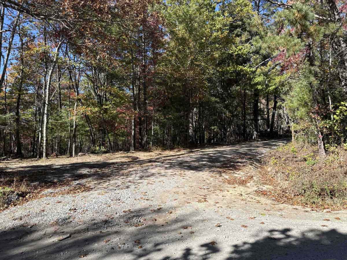 Dobson Knob - FS 106 trail photo