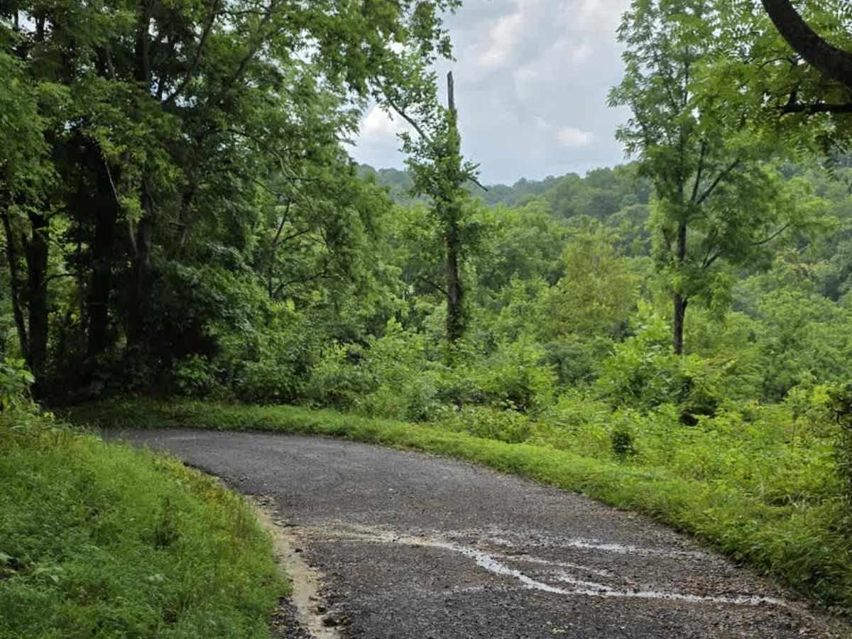 Beech Grove Road - Macon County Tour trail photo