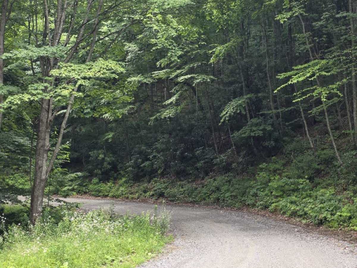 Chestnut Ridge Road photo 5