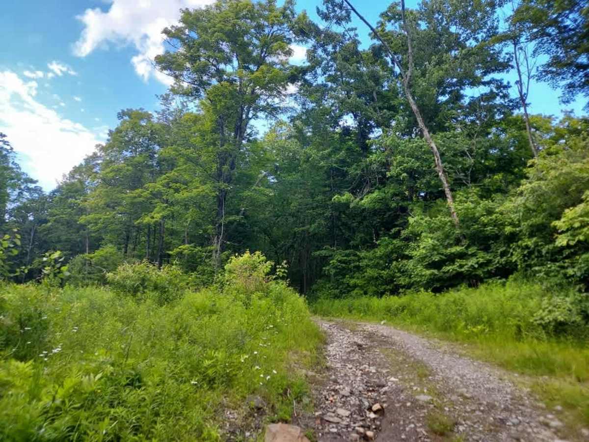 Long Hill Road photo 4