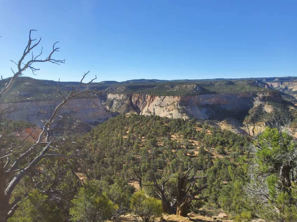 BLM 73P trail photo
