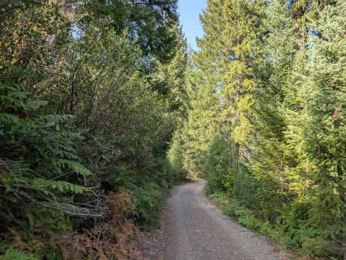 FS 6470100 trail photo