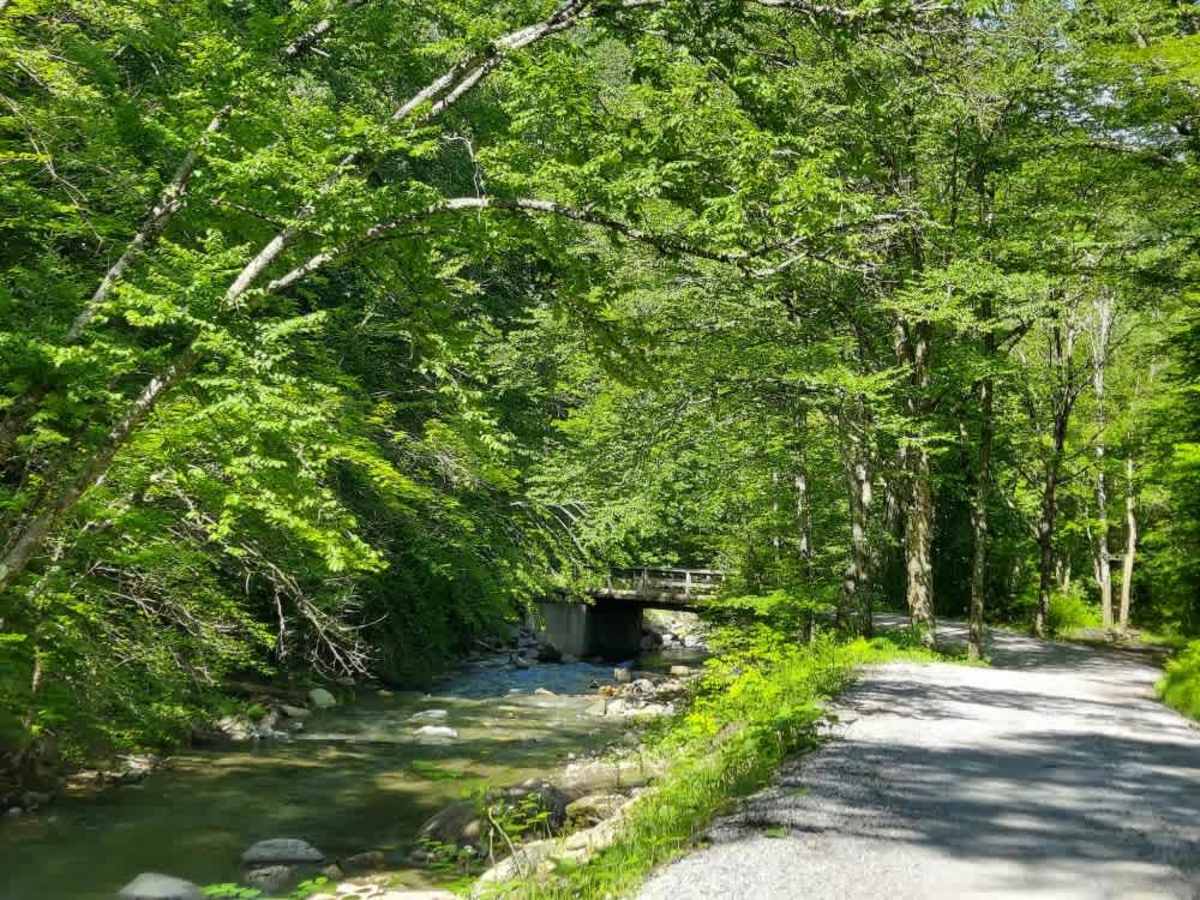 Hale Hollow Trail photo 4