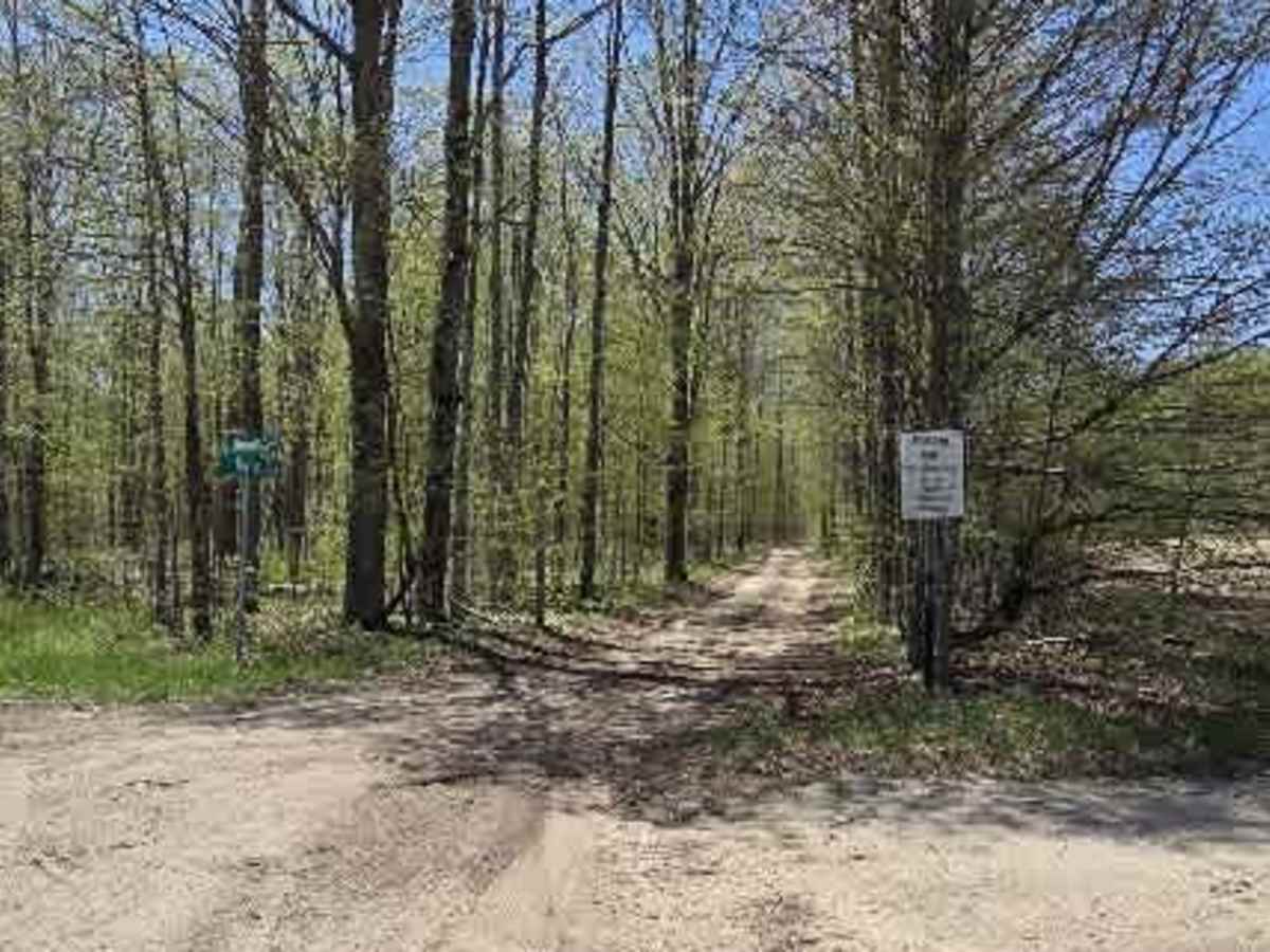 Taylor Road trail photo