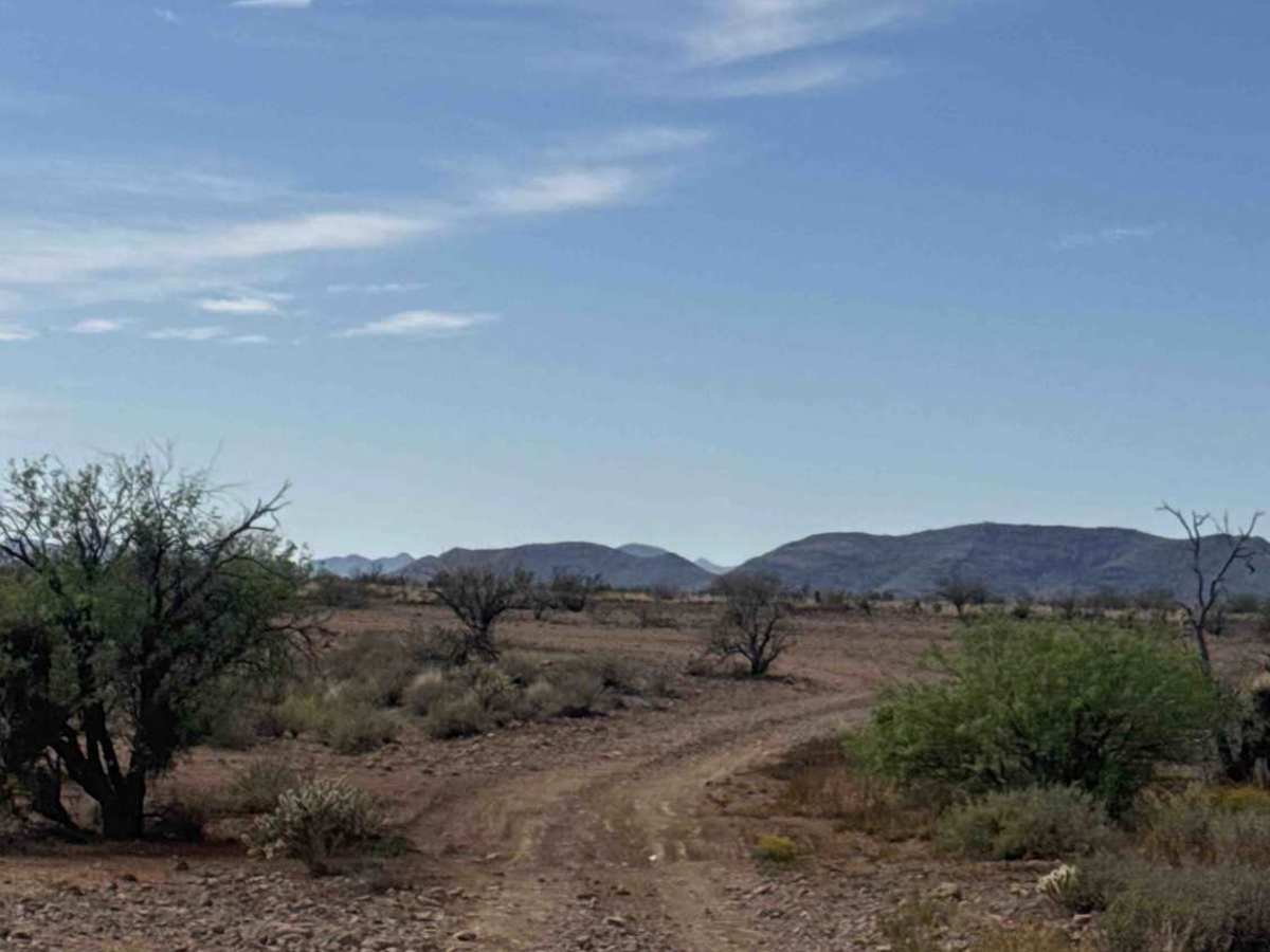 West Desert Hills Trail  photo 2