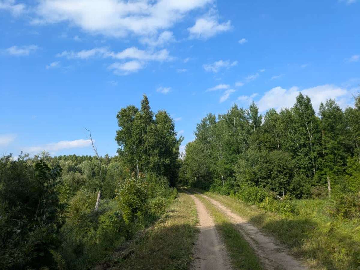 2930 trail photo