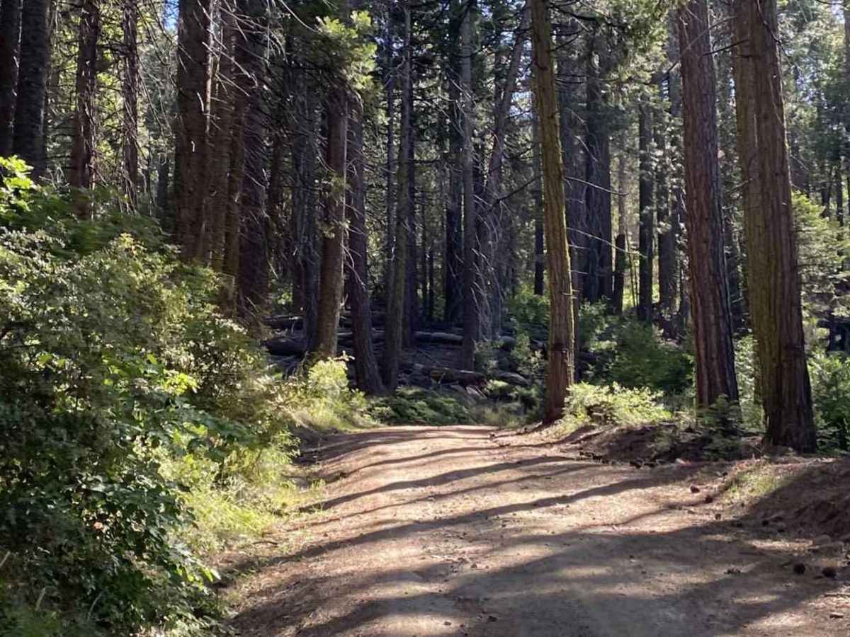 Ten Mile Grade - FS 4S004 photo 4