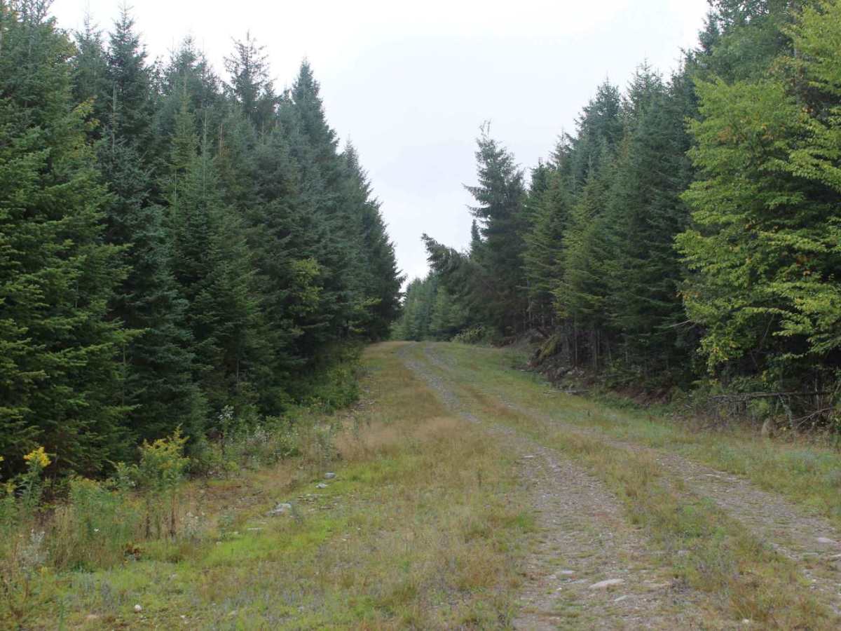 27-20 Trail photo 5