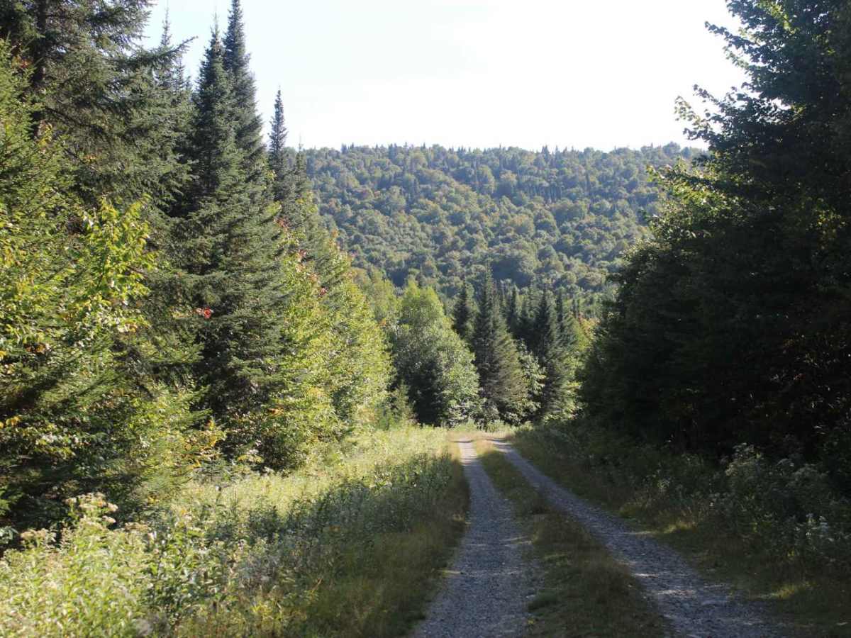 Rump Mountain Trail photo 5