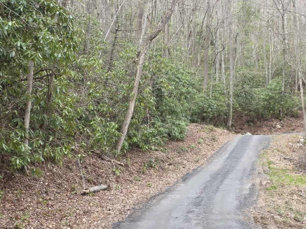 White Oak Flats Spur photo 5
