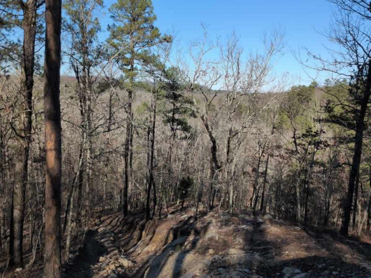 C8 Back Porch trail photo