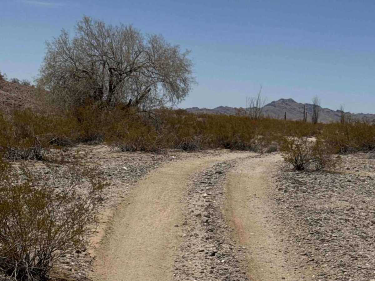Hs86k trail photo