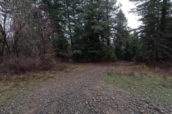 Potato Hill Connector