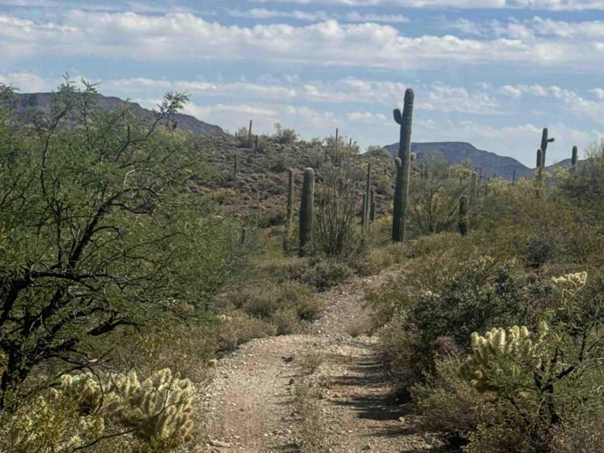 Mine Mountain  trail photo