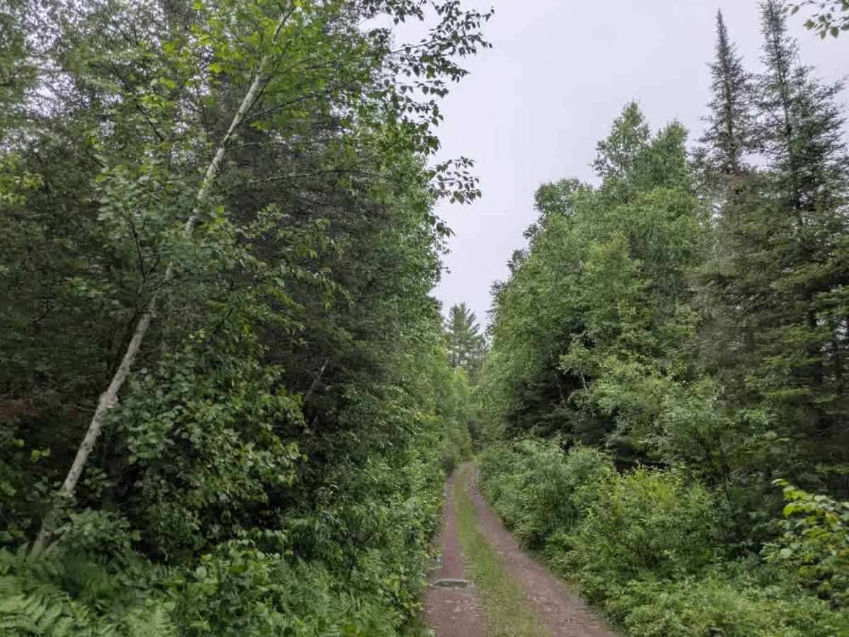 Rice Lake trail photo