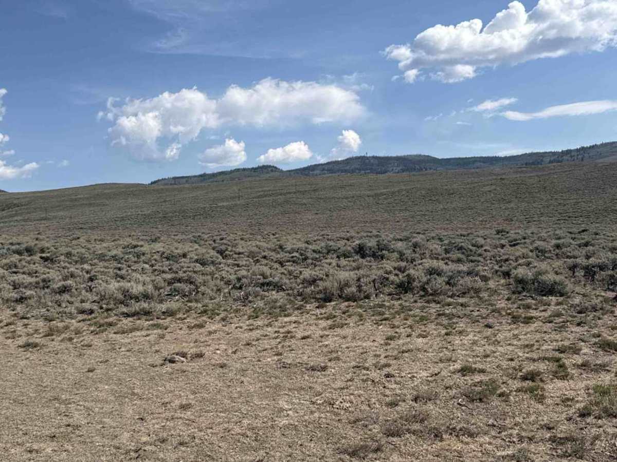 Corral Creek Road photo 6