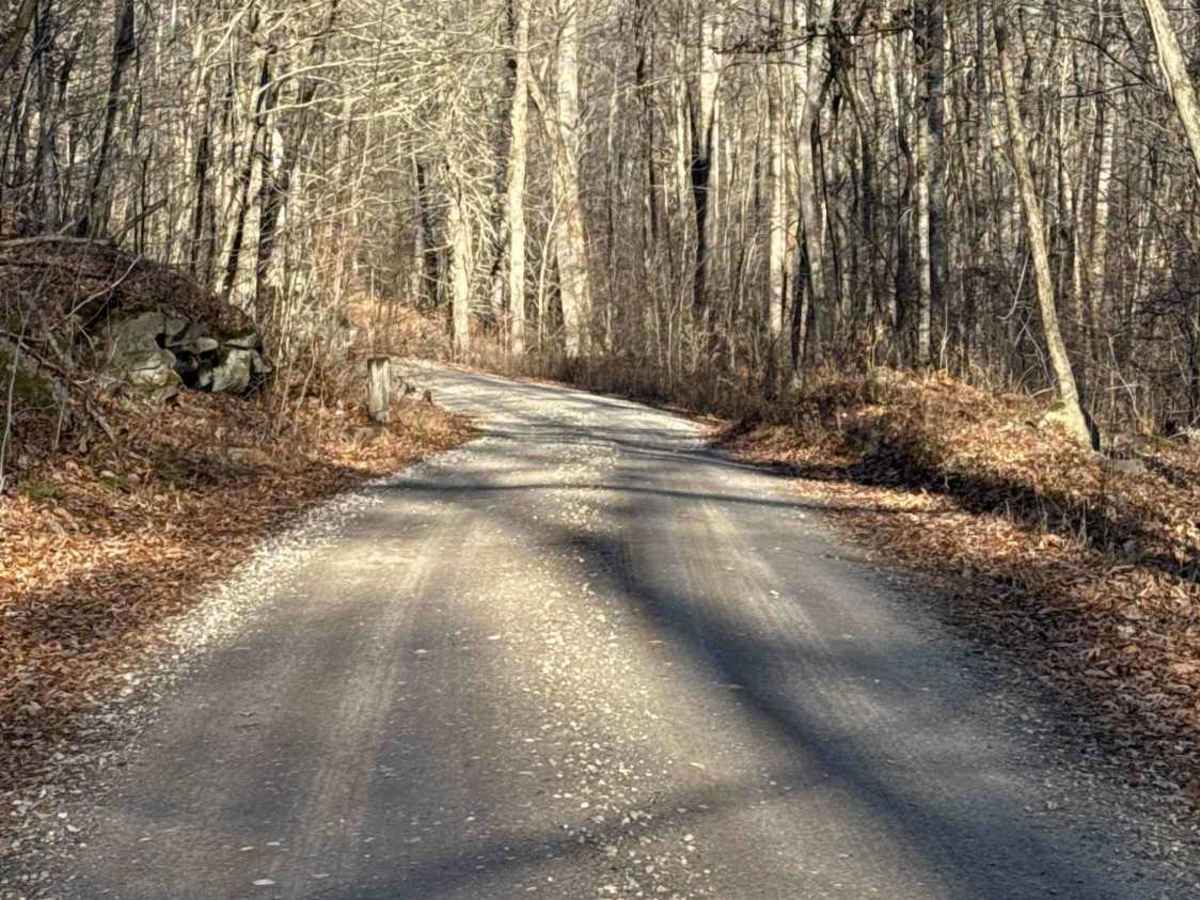 Del Reeves Road photo 2