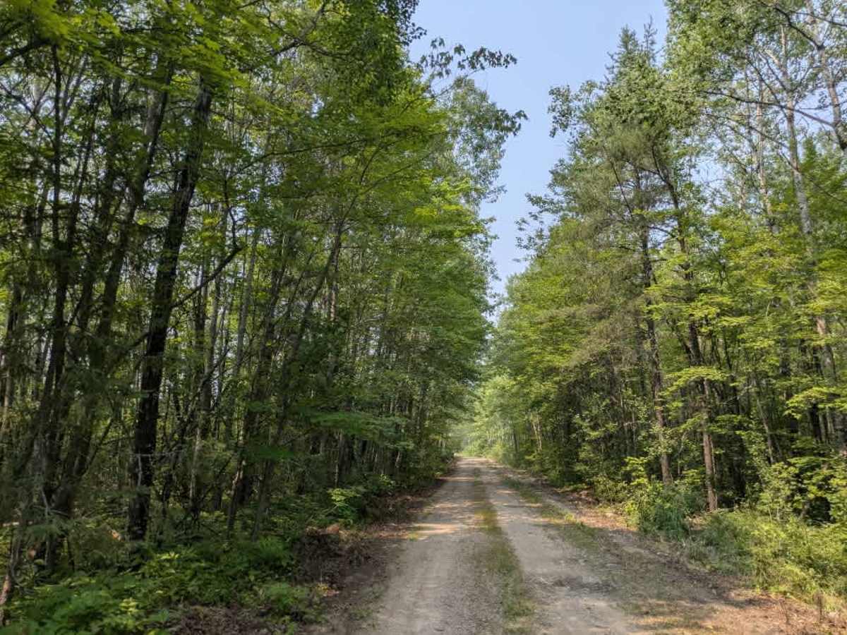 High Lake Road trail photo