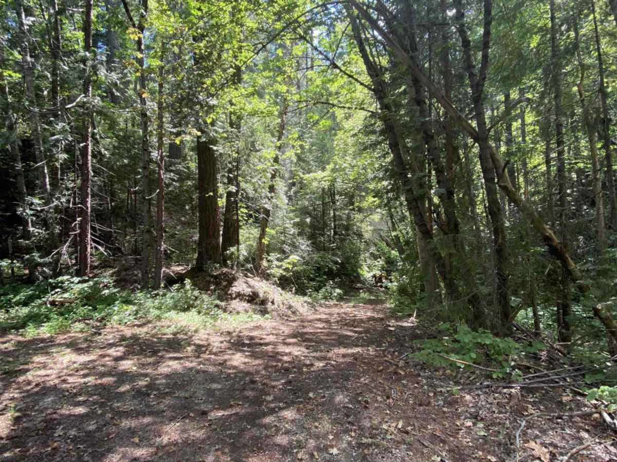 Buckeye Creek - FS 37N52 photo 2