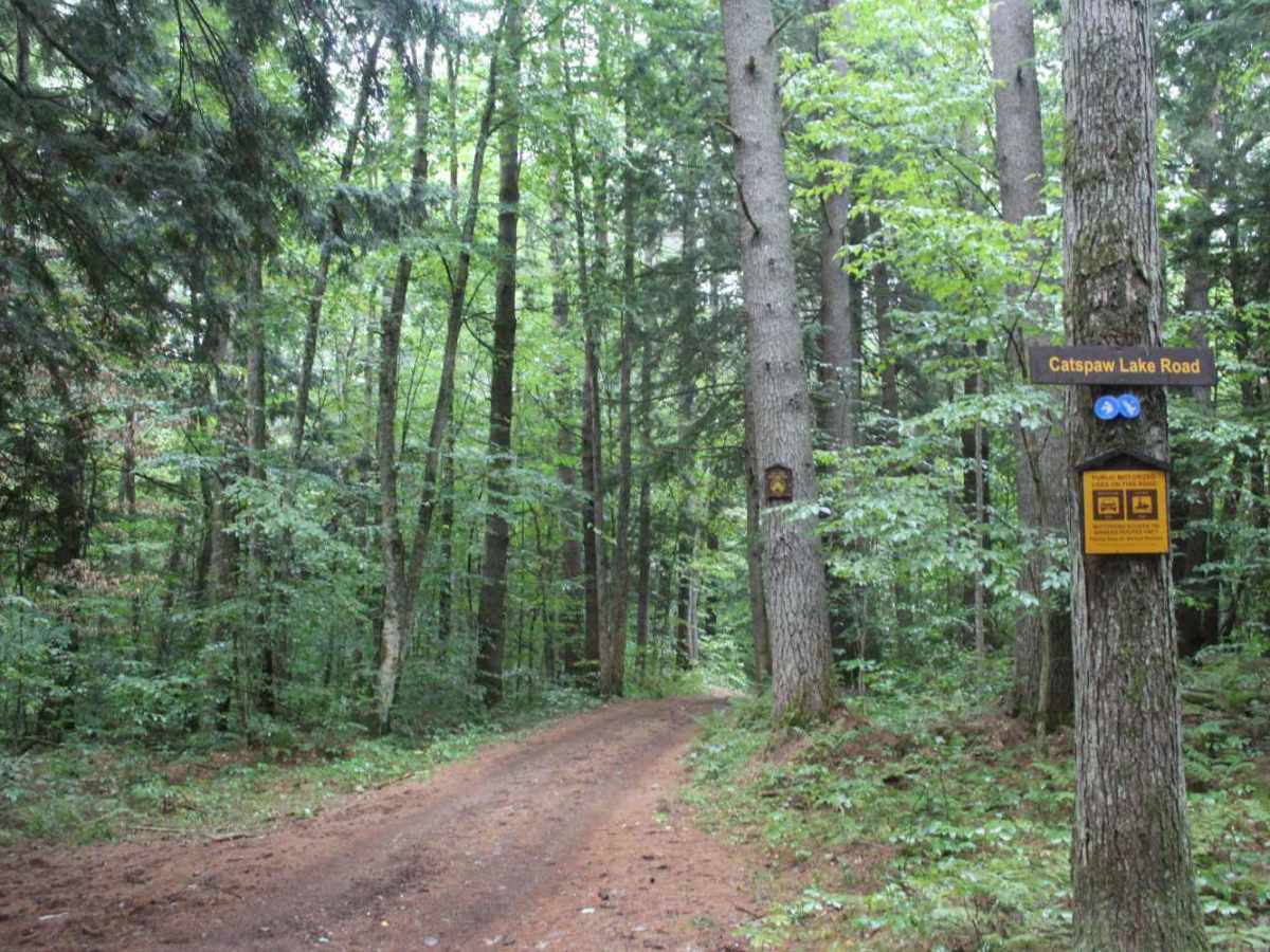 Catspaw Lake Road trail photo