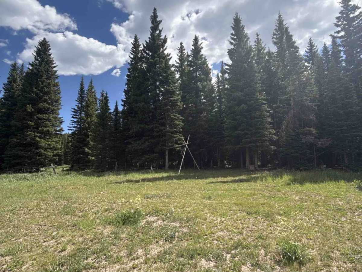 Eagle Rock Road - FS 284 photo 5