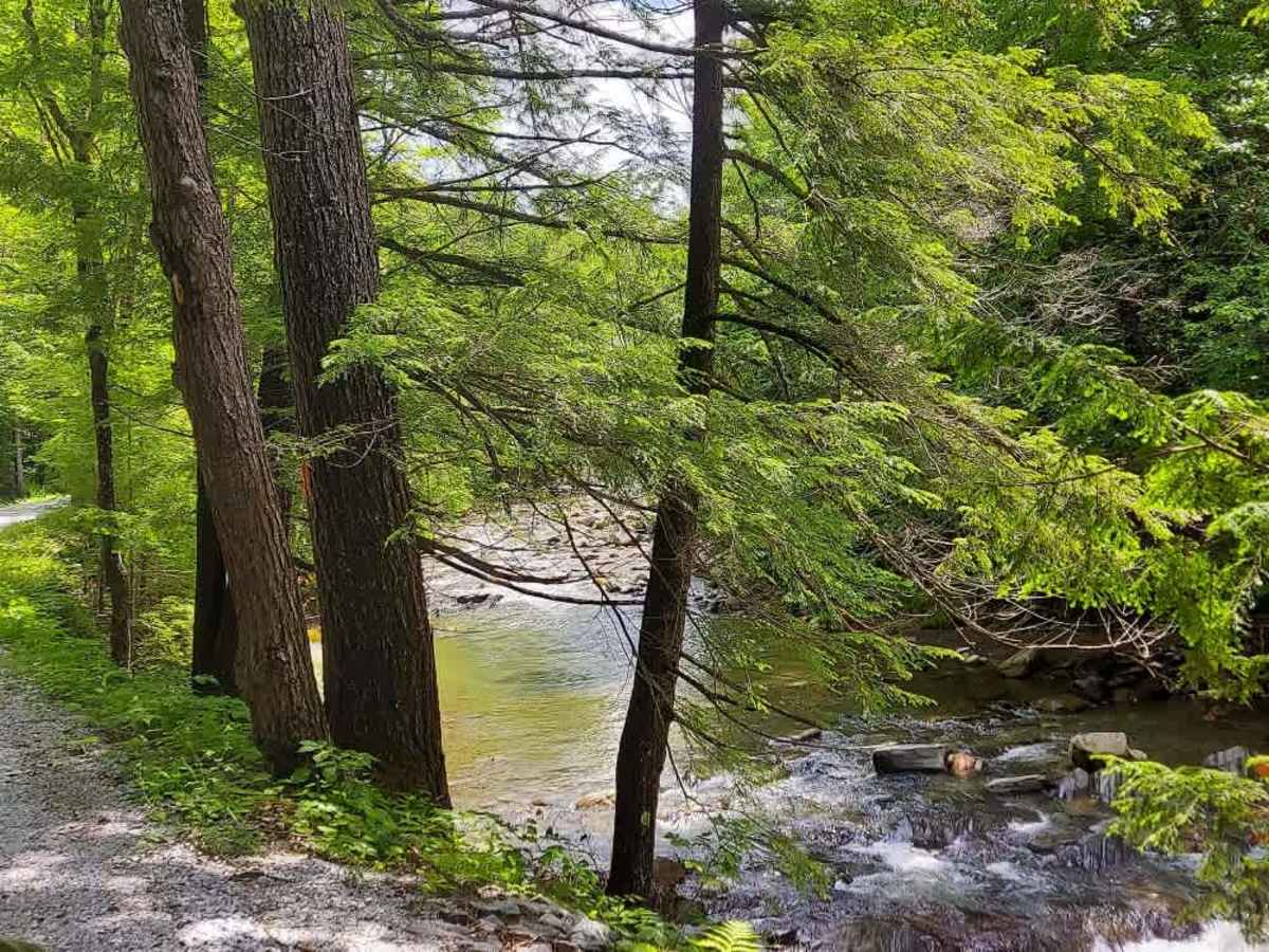 Hale Hollow Road photo 5