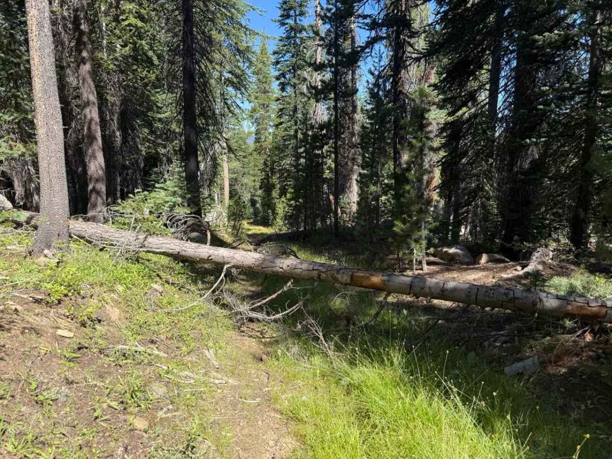 Burnside Lake - FS 31205 photo 3