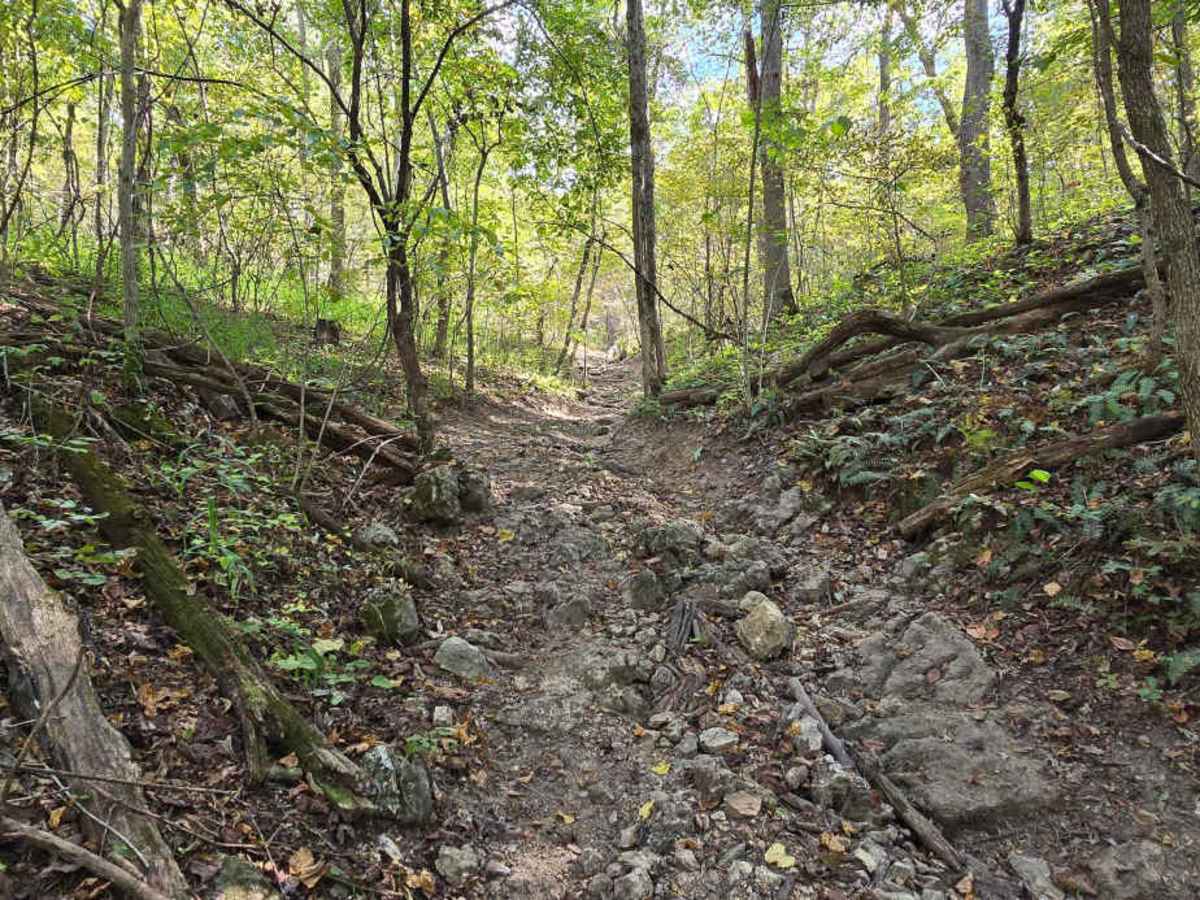 Turtle Trail photo 5