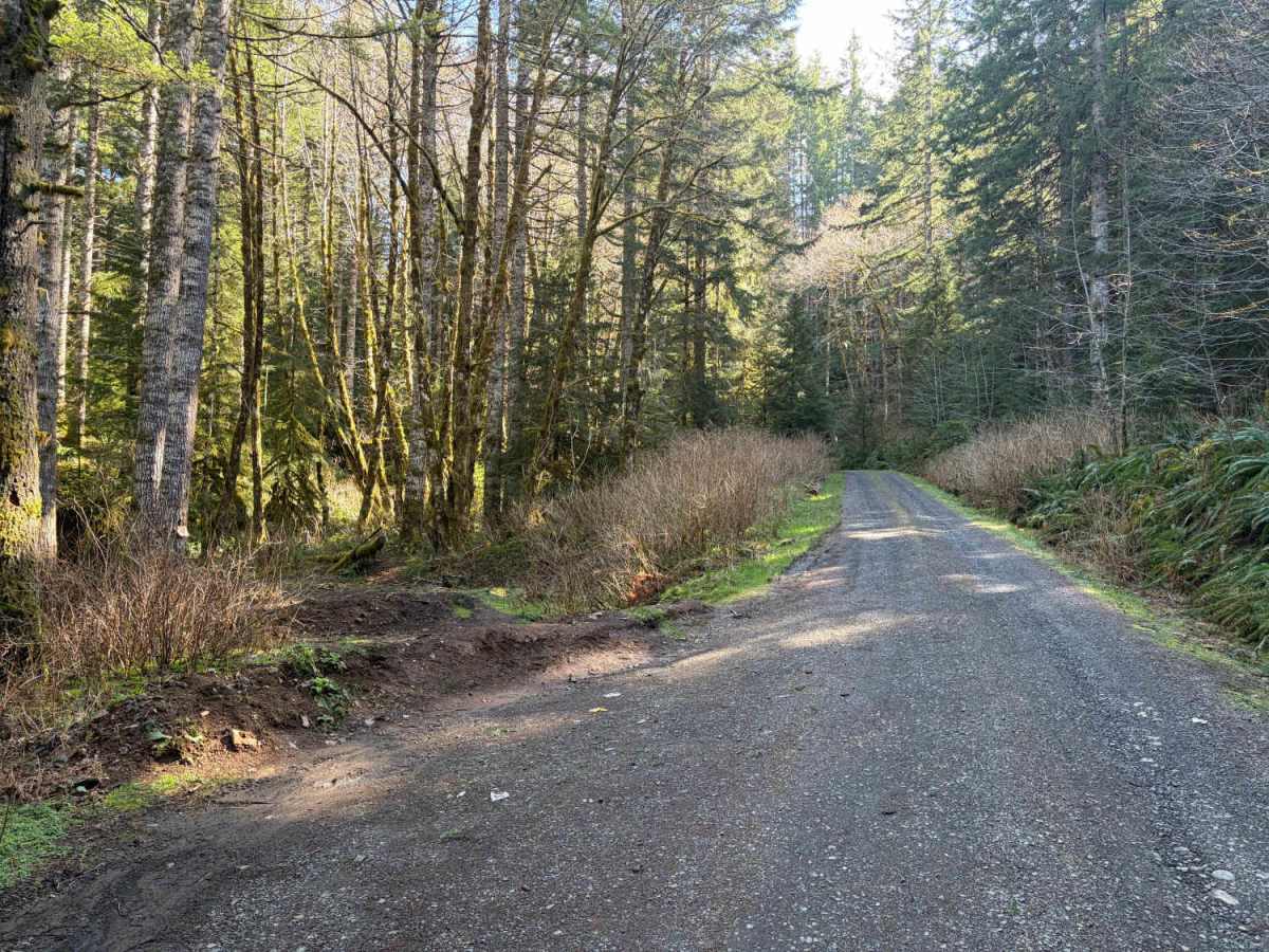 Section 10 Road photo 3