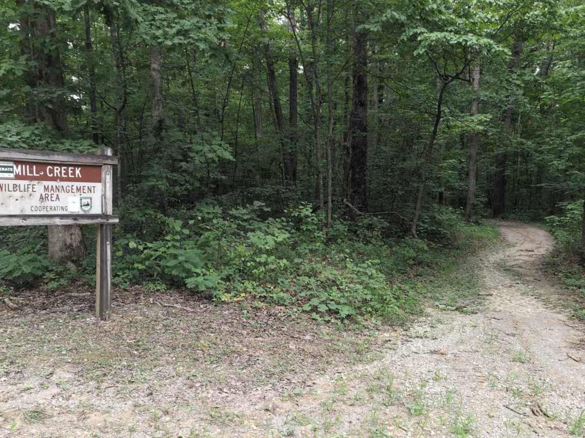 Renfro Loop trail photo