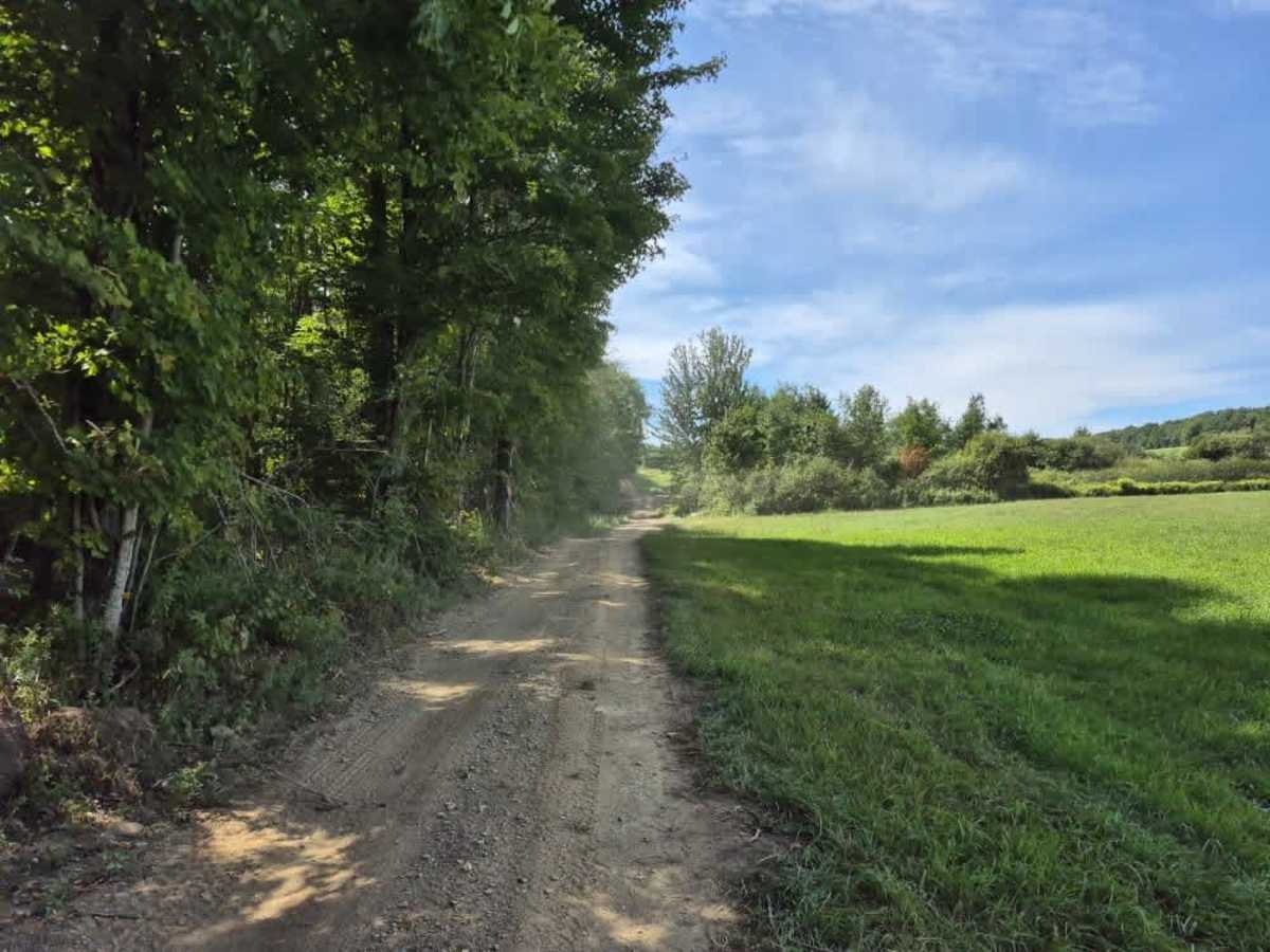 Lee Gulf Extension photo 2