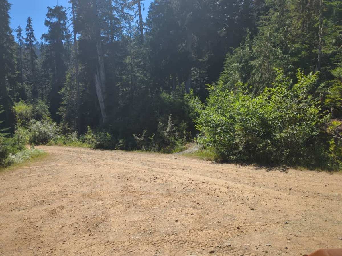 Evans Lake & Black Rock Lake photo 4