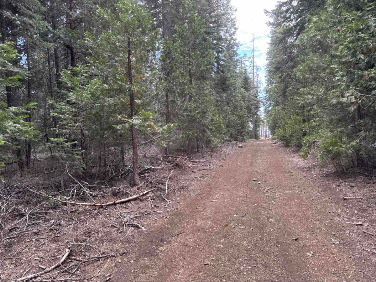 Bear Spring - FS 96-034-02 photo 6