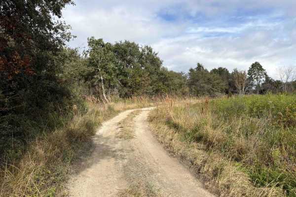 Road 8 Loop - Three Lakes WMA