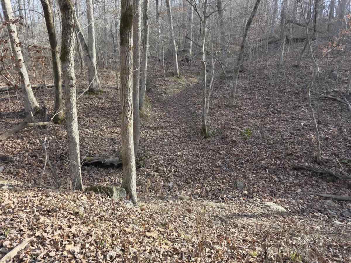 Huckleberry trail photo