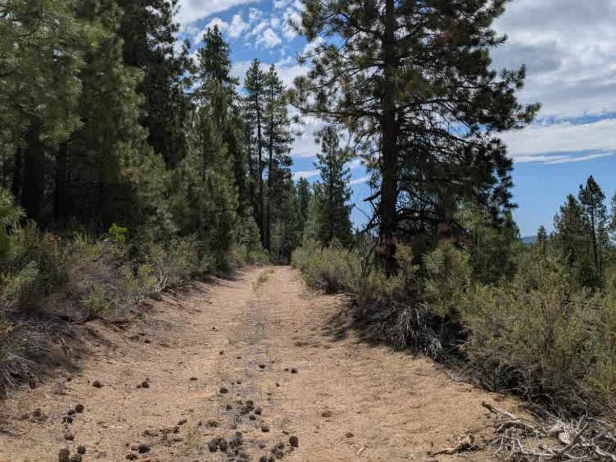 FS 5811810 trail photo