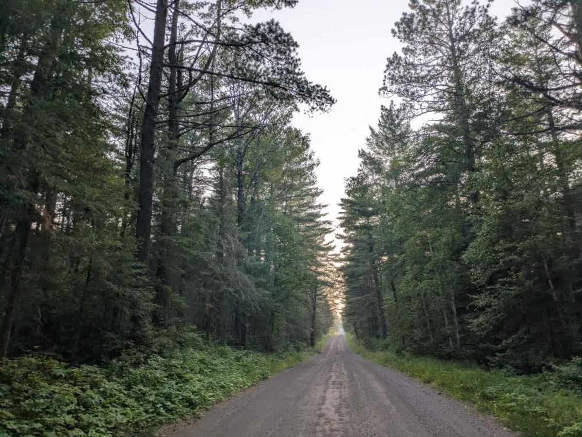 Wanless Road photo 3