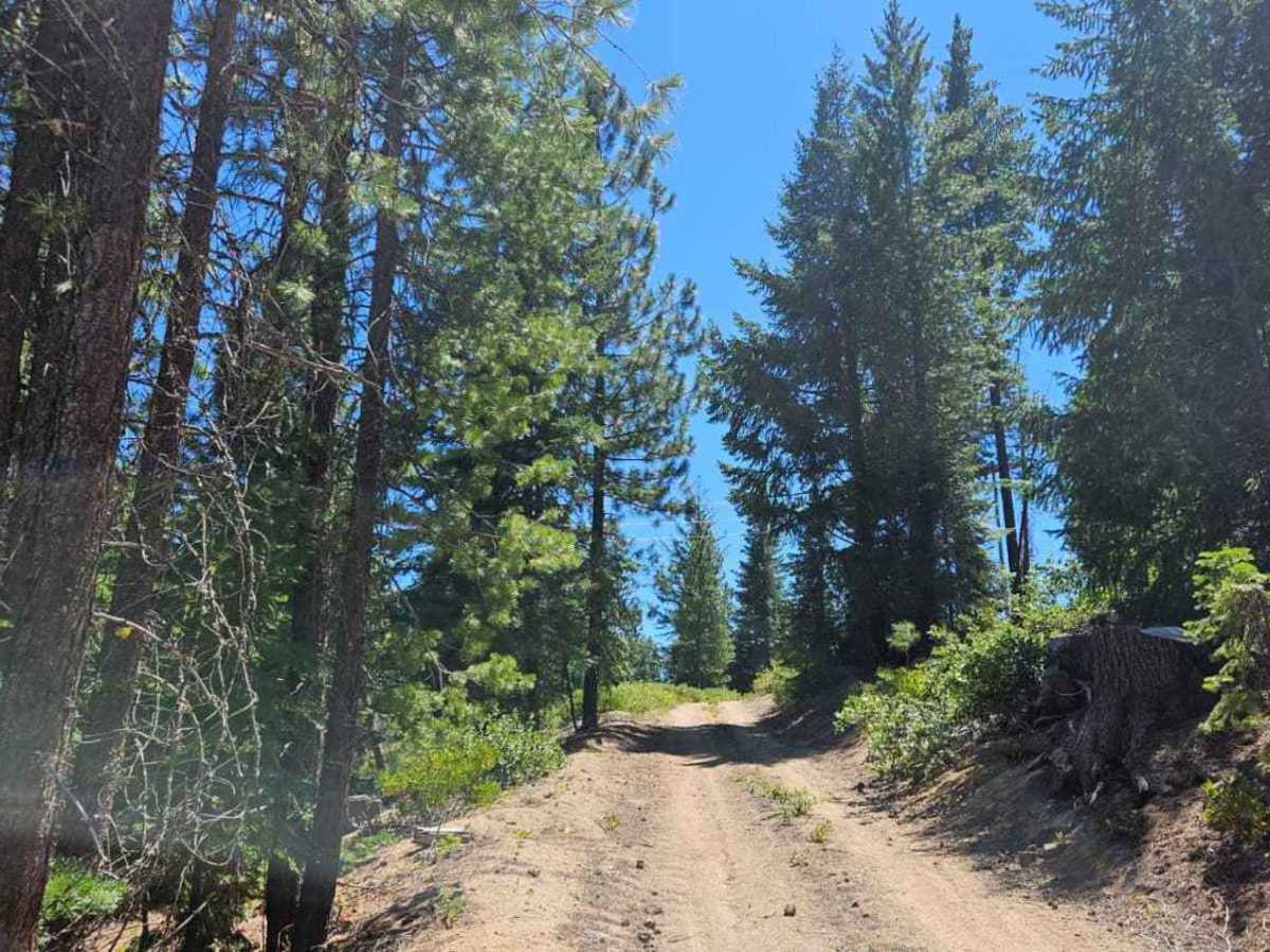 Powerline Road photo 3