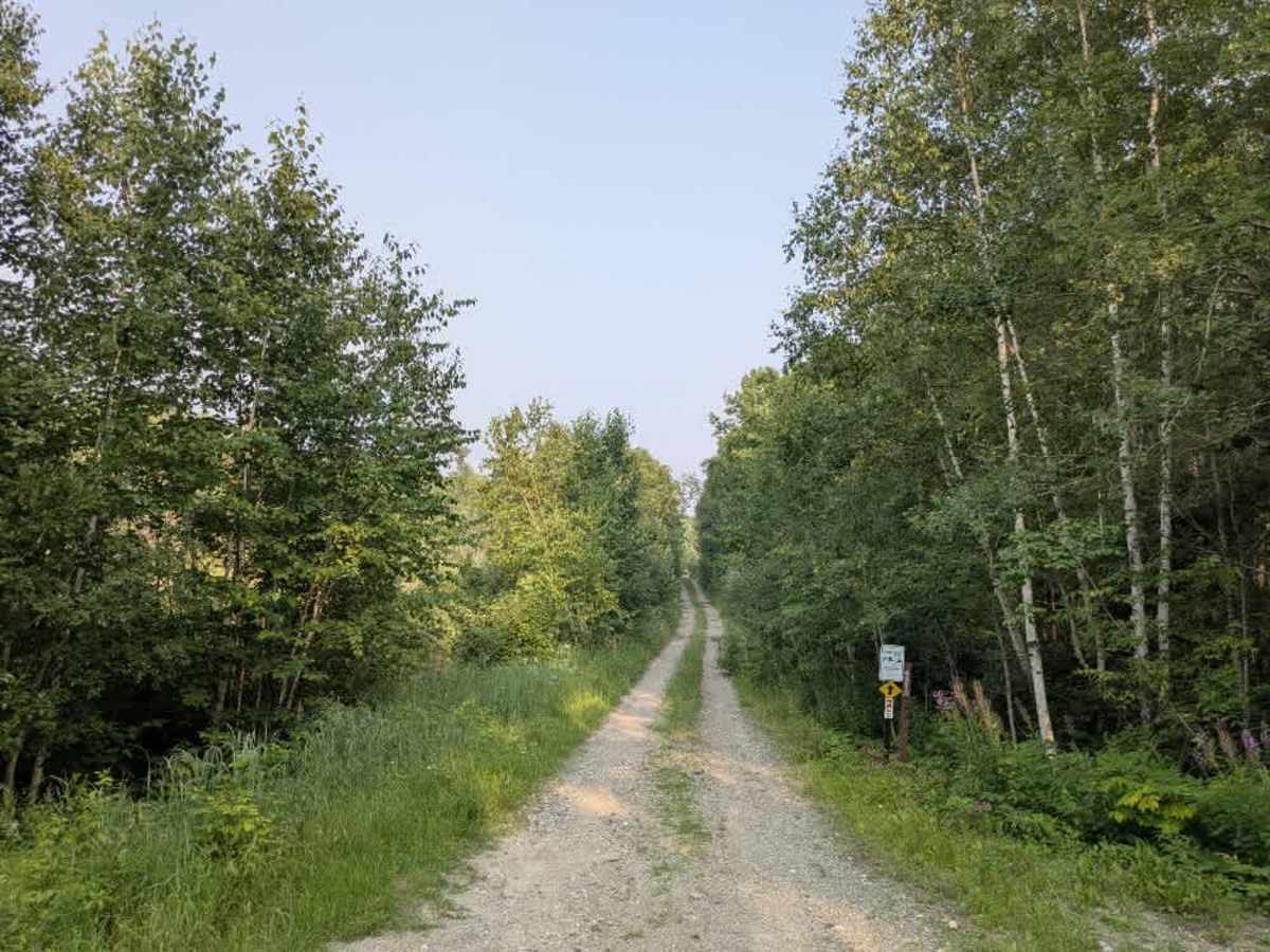 FS 451 trail photo