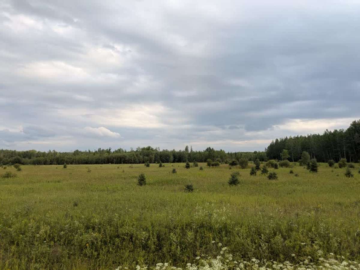 County Road 80 photo 2