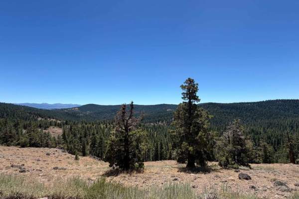 Sardine Peak - FS 0650-075