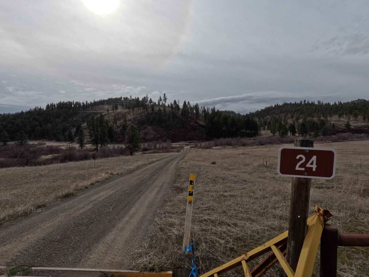 Happy Jack - FS 24 trail photo
