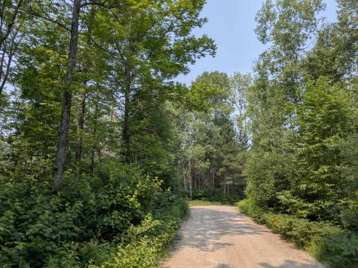 Low Lake photo 6