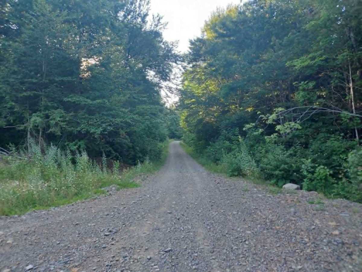Shaw Camp Road trail photo