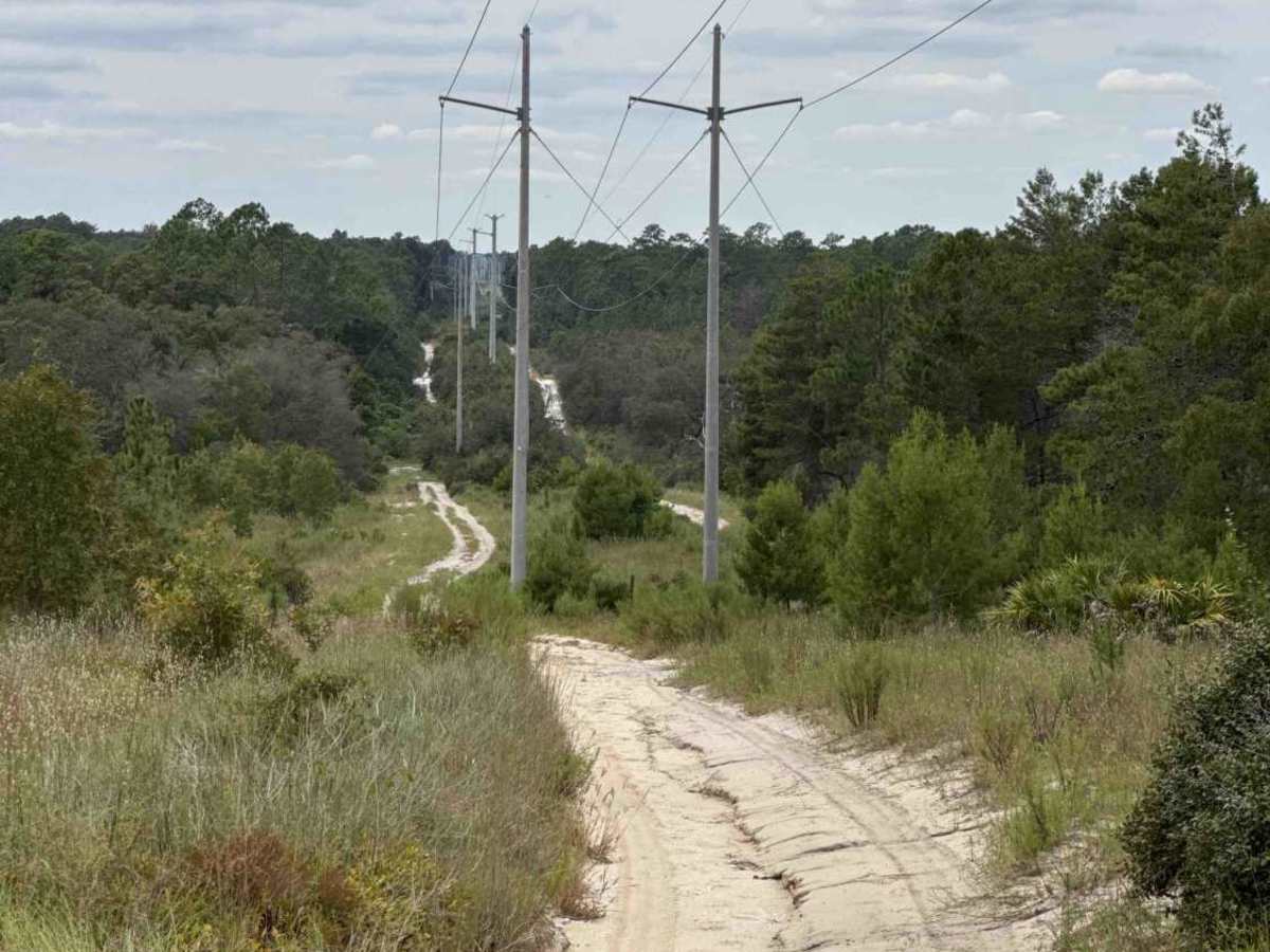 Tinsley Powerline Road trail photo